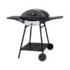 malloca bbq 8102