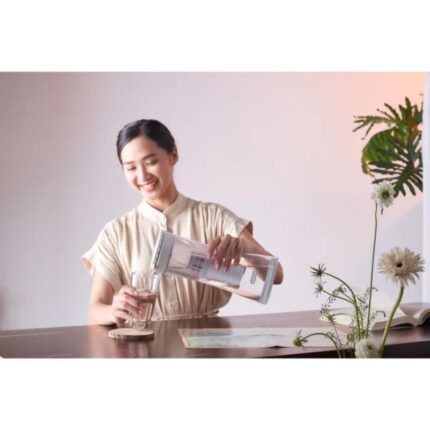 Hình ảnh thực tế bộ lọc thay thế Cleansui EJC1